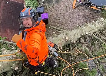Granite City Tree Surgeons
