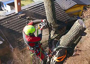 Granite City Tree Surgeons