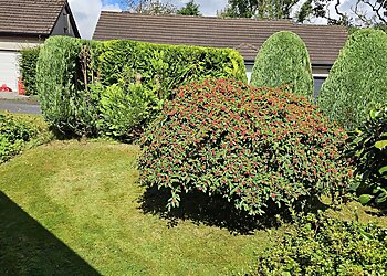 Grass Roots Sports Garden and Lawn Maintenance