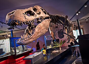 Great North Museum: Hancock