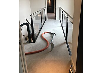 Green 4 Carpet & Upholstery Cleaning