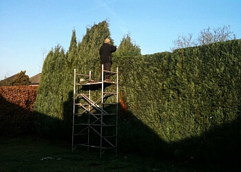 Green Army Garden Services