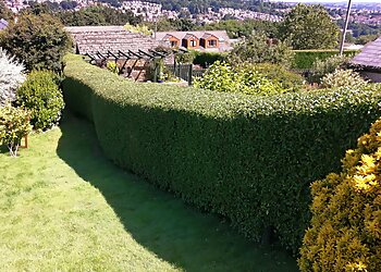 Green Barrow Garden Services