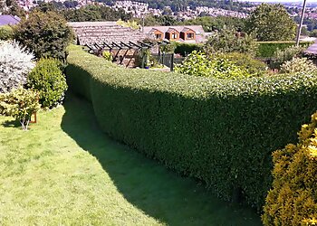 Green Barrow Garden Services