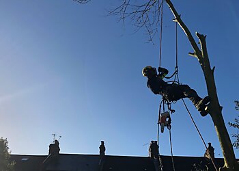 Green Canopy Consultancy and Tree Surgery