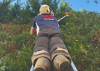 Green Canopy Consultancy and Tree Surgery