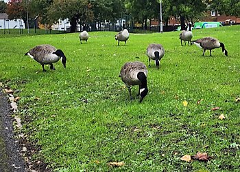 Green Grosvenor Park