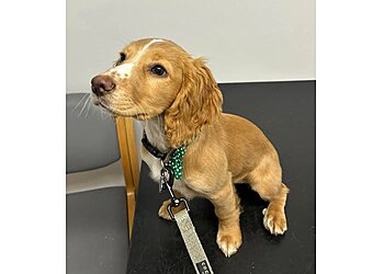 Green Pastures Veterinary Centre