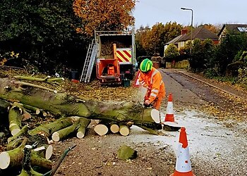 Greencroft Treework Ltd