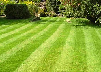 Greenmaster Lawn Care