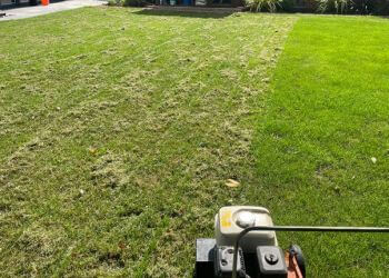 Greensleeves Lawn Care Brighton