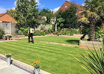 Greensleeves Lawn Care