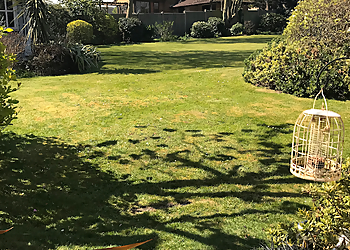 Greensleeves Lawn Care