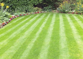 Greensleeves Lawn Care