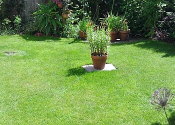 Greensleeves Lawn Care