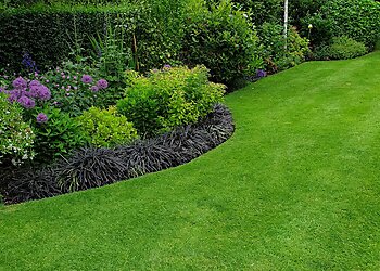 Greensleeves Lawn Care