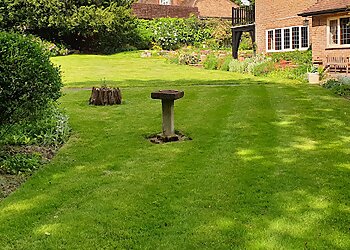 Greensleeves Lawn Care