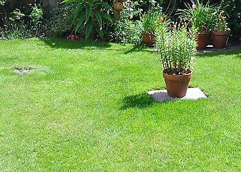 Greensleeves Lawn Care