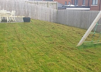 Greensleeves Lawn Care Belfast