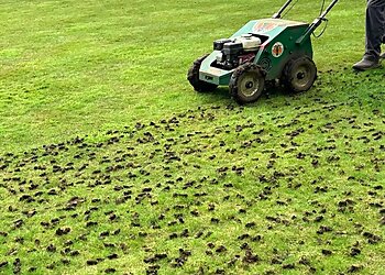 Greensleeves Lawn Care Belfast