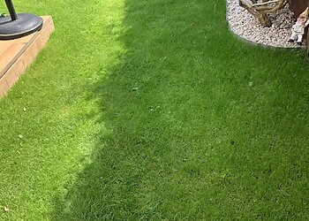 Greensleeves Lawn Care Brentwood