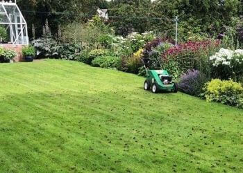 Greensleeves Lawn Care Eastbourne