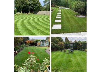 Greensleeves Lawn Care Eastbourne