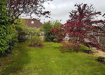Greensleeves Lawn Care Eastbourne