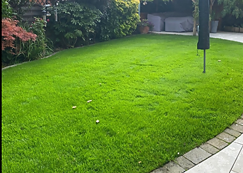 Greensleeves Lawn Care Leicester West