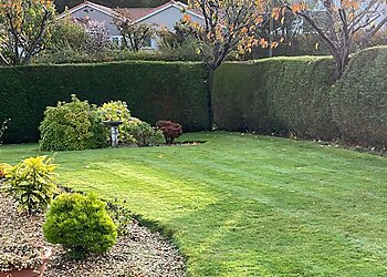 Greensleeves Lawn Care Portsmouth