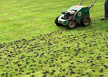 Greensleeves Lawn Care