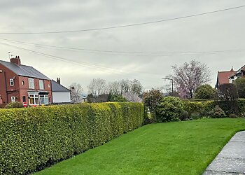 Greensleeves Lawn Care