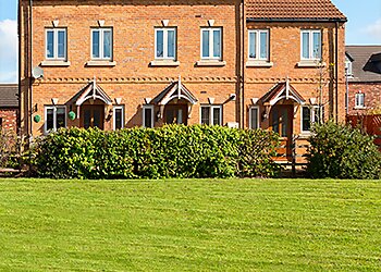 Greensleeves Lawn care Salisbury