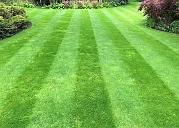 Greensleeves Reading