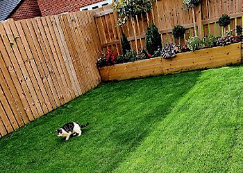 Greensleeves Teesside