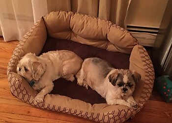 Greta' Adventures Pet Services