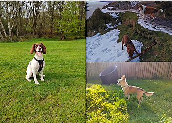 Greta' Adventures Pet Services