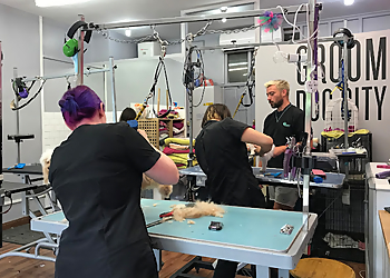 Groom Dog City