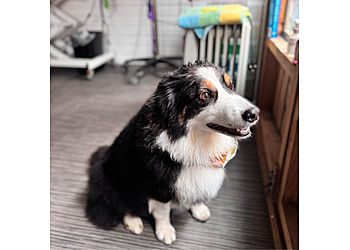 Groomingdales Airdrie