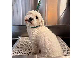 Groomingdales Airdrie