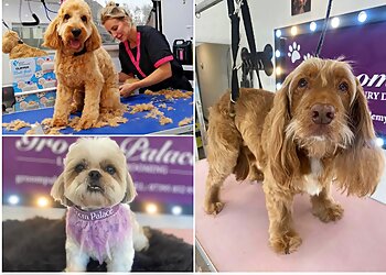 Groom Palace Harrogate