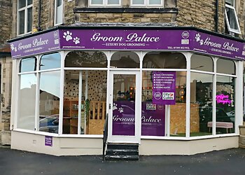 Harrogate pet grooming Groom Palace Harrogate image 1