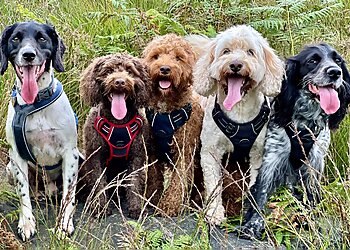 Grâcîe & Mîllîe's