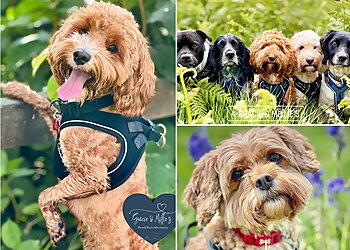 Grâcîe & Mîllîe's