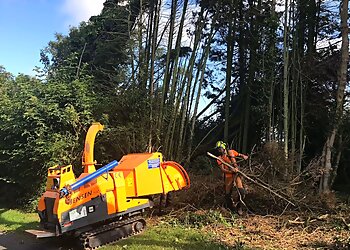 Gwasanaethau Coed Tomos Pierce Tree Services