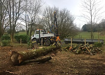 Gwasanaethau Coed Tomos Pierce Tree Services