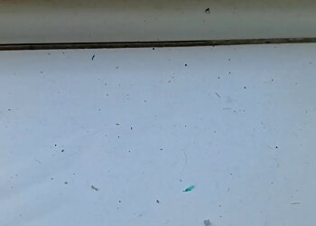 Gwasanaethau Glanhau Rhian’s Cleaning Services Ltd.