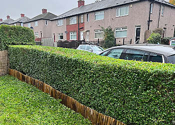 HP Landscaping & Gardening