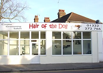 Dartford pet grooming Hair Of The Dog image 1