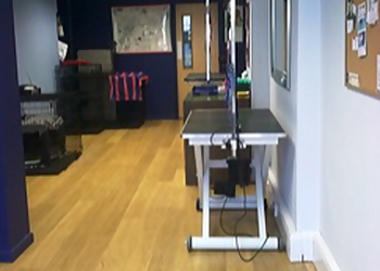 Hair Off The Dog Groomers